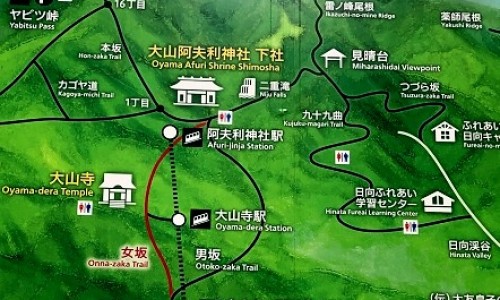 妊娠期用药的基本原则-女性妊娠期用药网 - 为你提供妊娠期用药指南、妊娠期妇女用药宣教