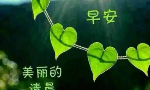 女性妊娠期用药网 - 为你提供妊娠期用药指南、妊娠期妇女用药宣教